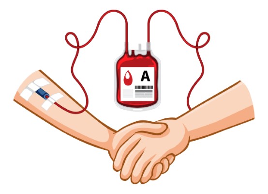 dona sangre